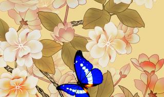花开蝶自来的全部诗句 关于蝴蝶的诗句